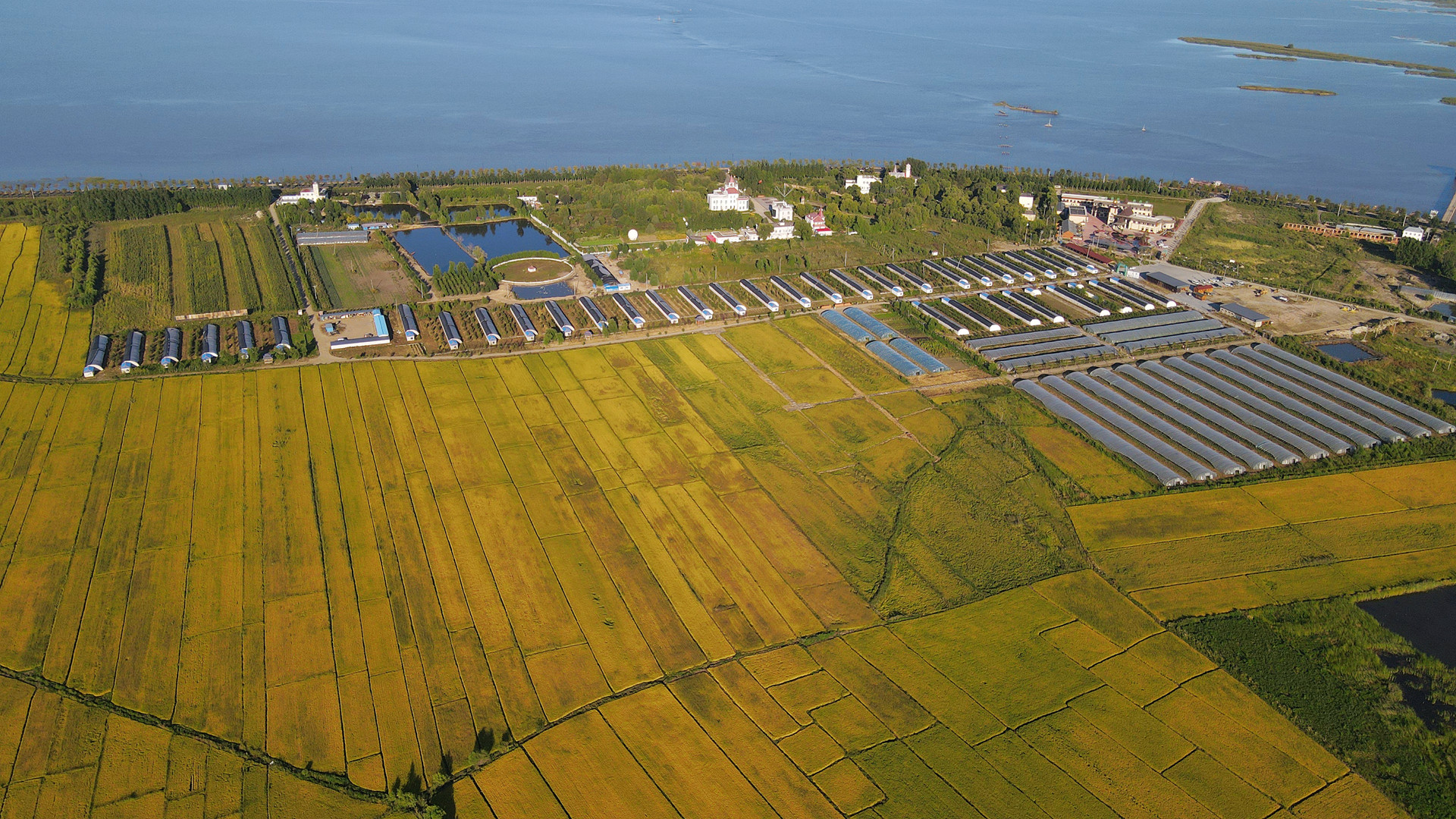 Les coopératives agricoles contribuent à la protection de la terre
