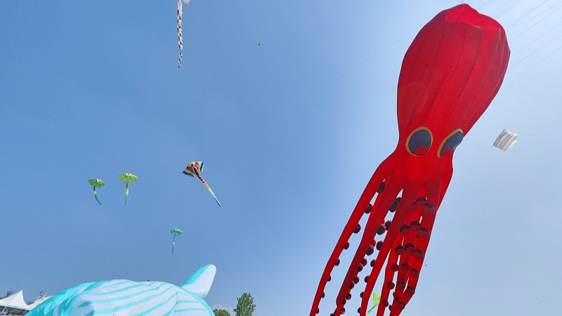 Cerf-volant Géant Coloré 3D Avec Queue De 100 M – Monofil – Pour Loisirs En Extérieur