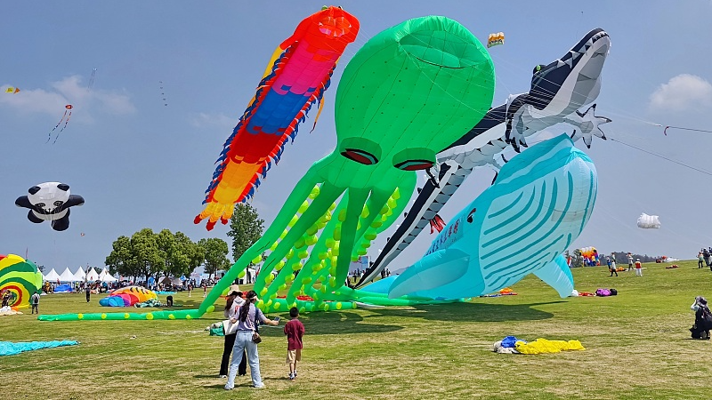 CIM Grand cerf-Volant pour Enfants - Super-ACHEN - Cerf-Volant monofil CIM Grand cerf-Volant pour Enfants - Super-ACHEN - Cerf-Volant monofil
