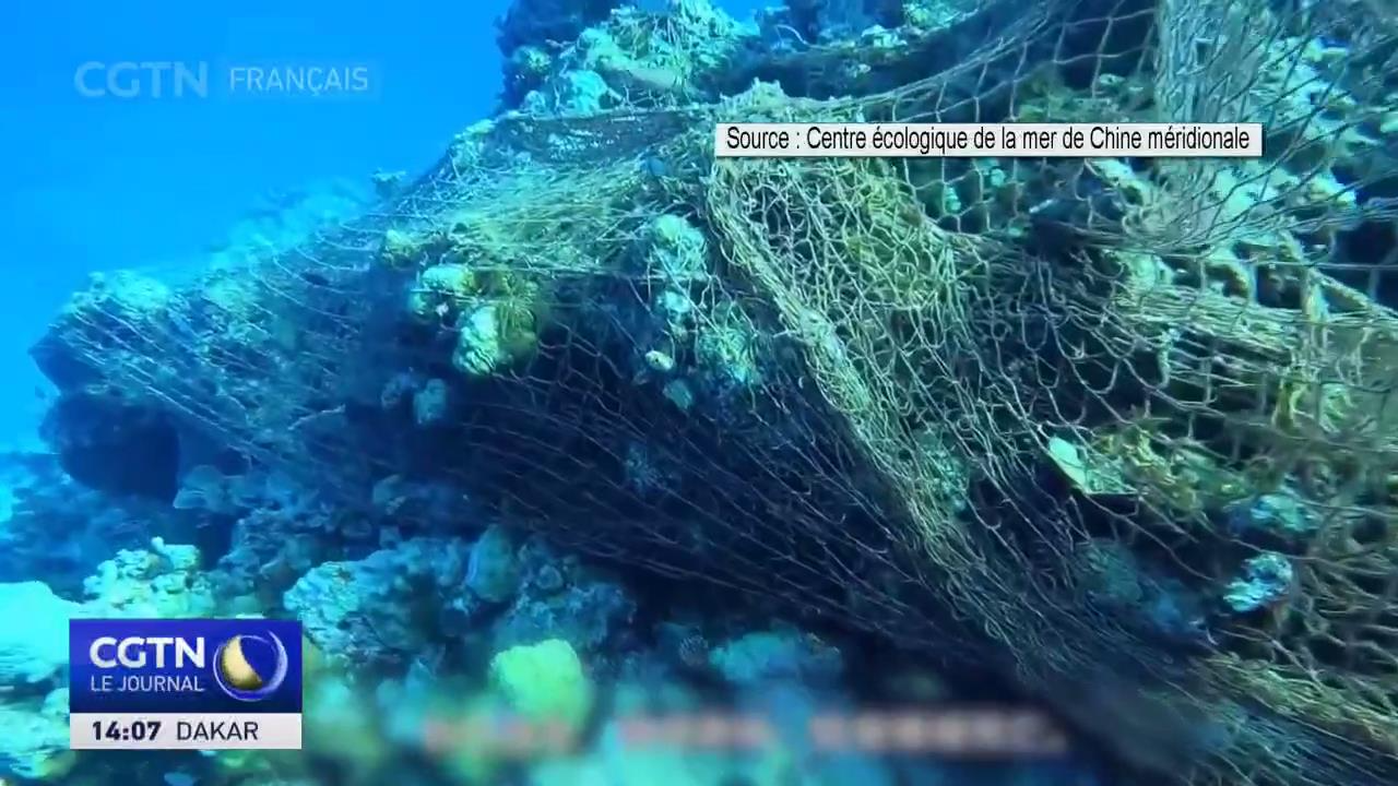 Echoué au Ren'ai Jiao, le navire philippin nuit à l'écosystème naturel ...